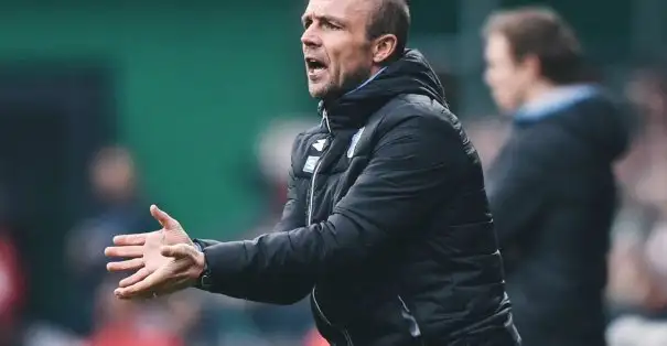 Alfred Schreuder yeni sezondan itibaren Hoffenheim'ın teknik direktörü olacak