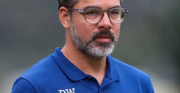 Schalke 04 yönetimi David Wagner'i görevden aldı