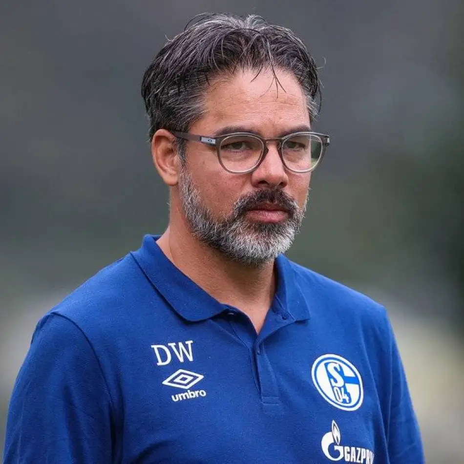 Schalke 04 yönetimi David Wagner'i görevden aldı